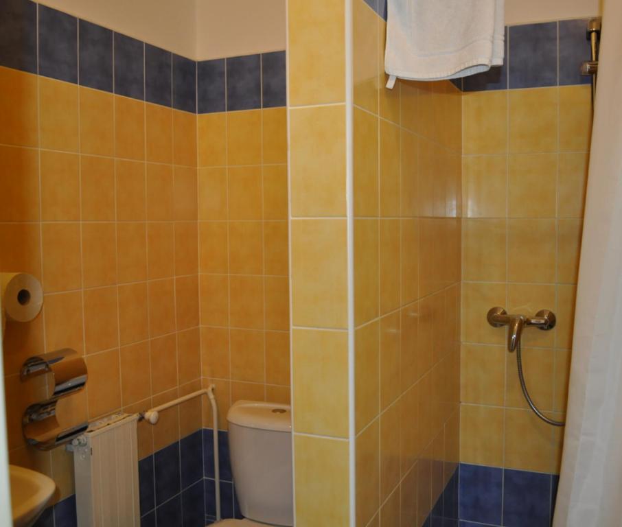 Sport Hotel Ostrov Trencin Bilik gambar